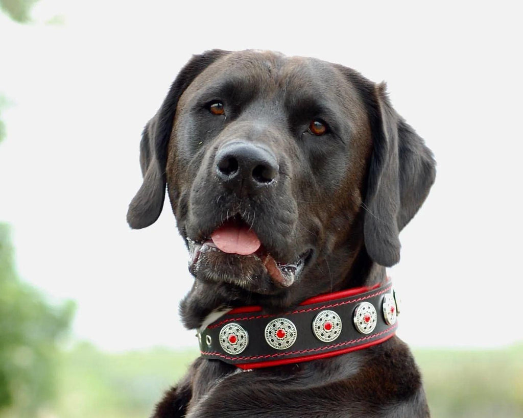 "Bijou" collar black & red